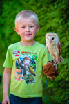 Barn Owl Loki with Luke