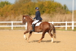 SBM_009304