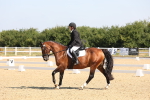 SBM_003386