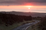 Honey Hill Sunrise
