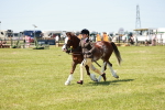 SBM_15562