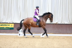 SBM_002313