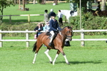 SBM_47141