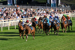 Race 4 19.15pm Tomahawk Handicap portfolio
