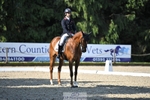 301-JET_FIGHTER-Harry_Meade-WEDTrotUp+DR portfolio