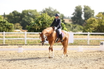 SBM_008603