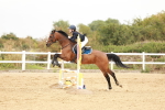 SBM_008576