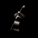 BASS