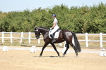 SBM_001553