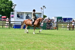 SBM_03841