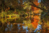 Autumn at Mount Usher Gardens