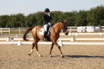SBM_006891