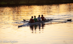 Rowing 4 at Sunset