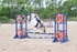 BPP_7654