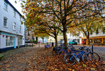 Bikes in Totnes in autumn