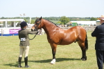 SBM_06973
