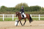 SBM_000161