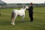 SBM_00579