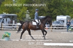BPP_6522