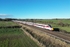 JL - 11.11.23 801210 1S07 08:00 London KX - Edinburgh, Ricknall Grange