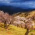 Andalucia 3 -105-Edit