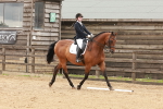 SBM_001764
