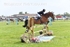BPP_8745