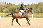 SBM_007935