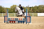 SBM_001529