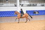 SBM_001947