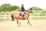 SBM_007073