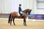 SBM_005331