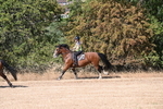 WJ6_7573