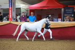 SBM_14663