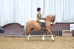 SBM_005135