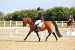 SBM_008340