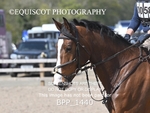 BPP_1440