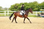 SBM_000602