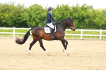 SBM_006623