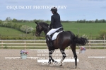 BPP_6055