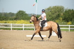 SBM_007851