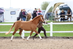 SBM_02446