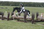 BVHT 140517  IXC -883
