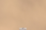 240509A-104657-00984