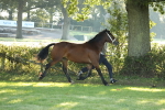 SBM_57932