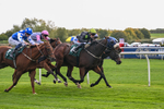 171026-Race 4-Woodstock-5734