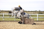 SBM_000323