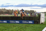Race 5 portfolio