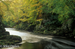River North Esk at Grannochy, Autumn Colour 4