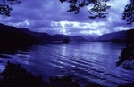 Ruskin's View